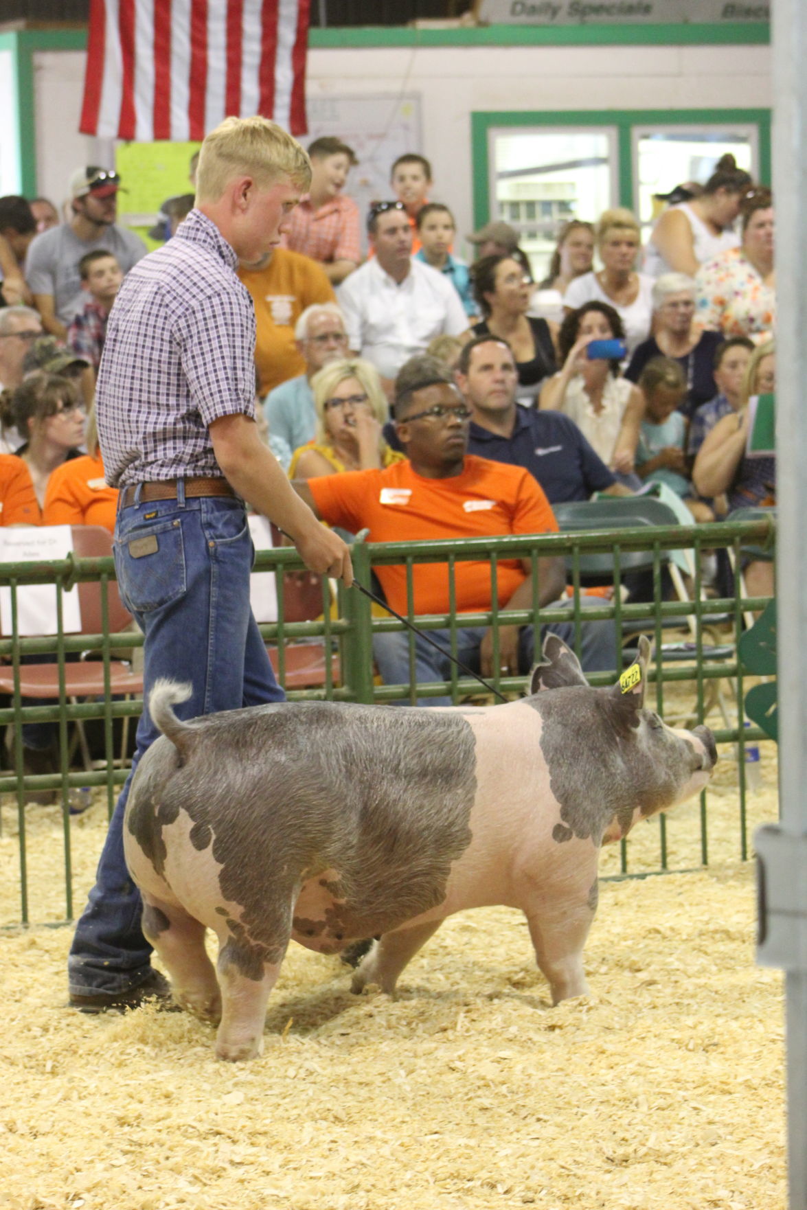 Best of the best sold at Porter County Fair